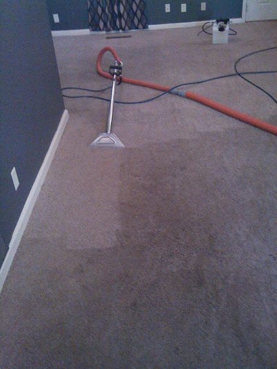 Carpet cleaning in progress
